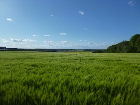 Depuis la rue de la Quillonhaie