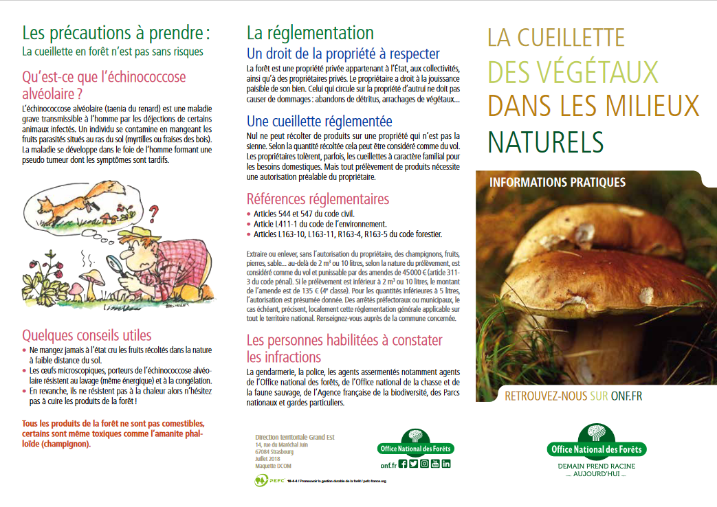 Cueillette dans les milieux naturels